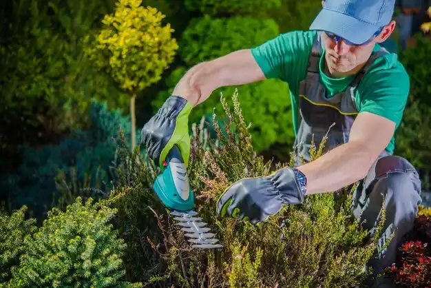 landscaping services Rosepine